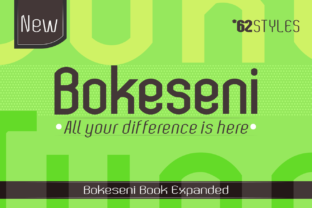 Bokeseni Book Expanded Font