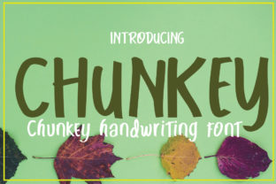 Chunkey Font: Bold and Beautiful