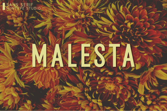 Malesta: A Bold Font for Modern Campaigns