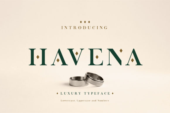 Why Havena is a Bold Choice for Web Design
